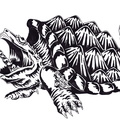 Alligator snapping turtle ink