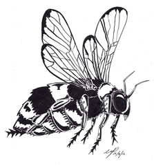 Bee ink