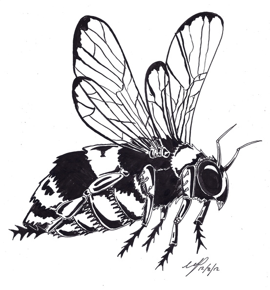 Bee ink.jpg