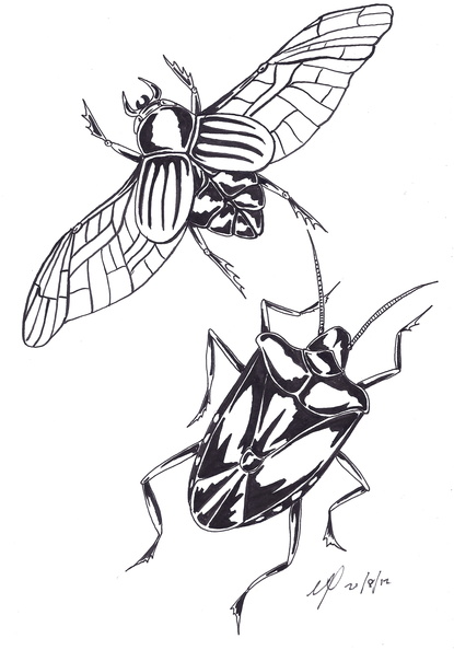 beetle monster ink.jpg