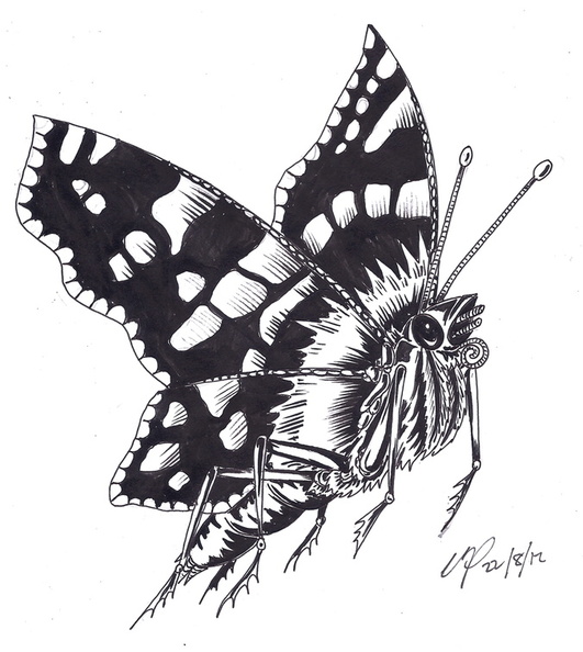 Butterfly ink.jpg