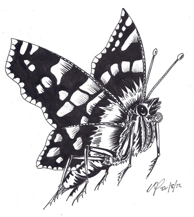 Butterfly ink