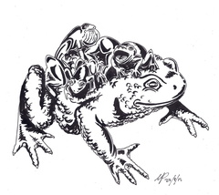 Cargo toad ink