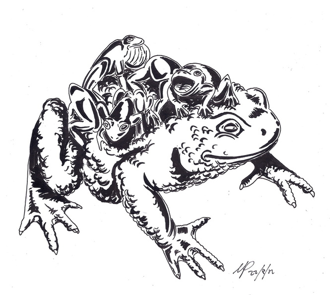 Cargo toad ink.jpg