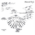 MountFuji_final_Half_Page.jpg