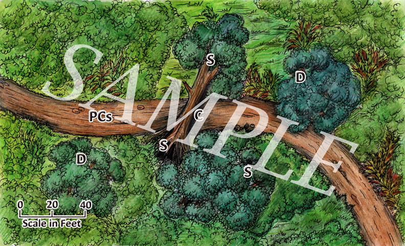 Pelgrane Press Elf Queen battle map 3.jpg